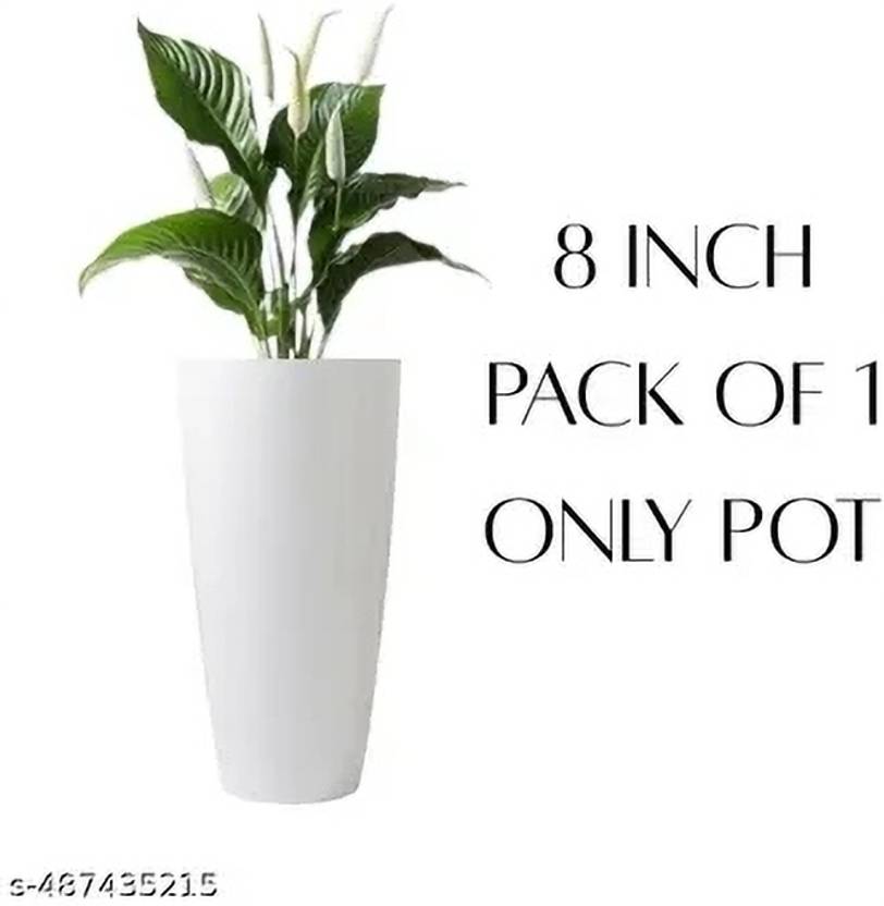 Atharvaplants Plant Container Set