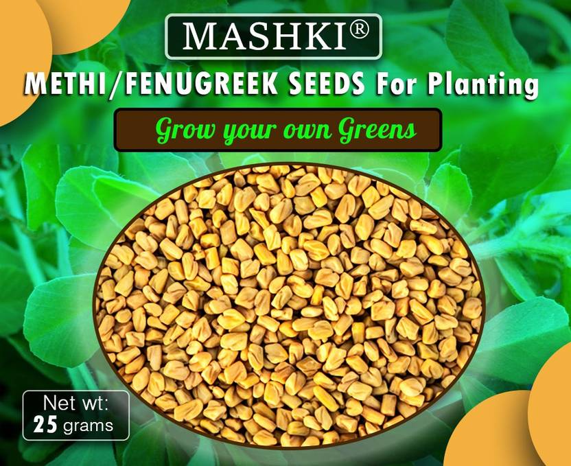 MASHKI Methi Dana / Fenugreek Seeds / Vendhayam Seeds For Planting / 25g Seed Price in India