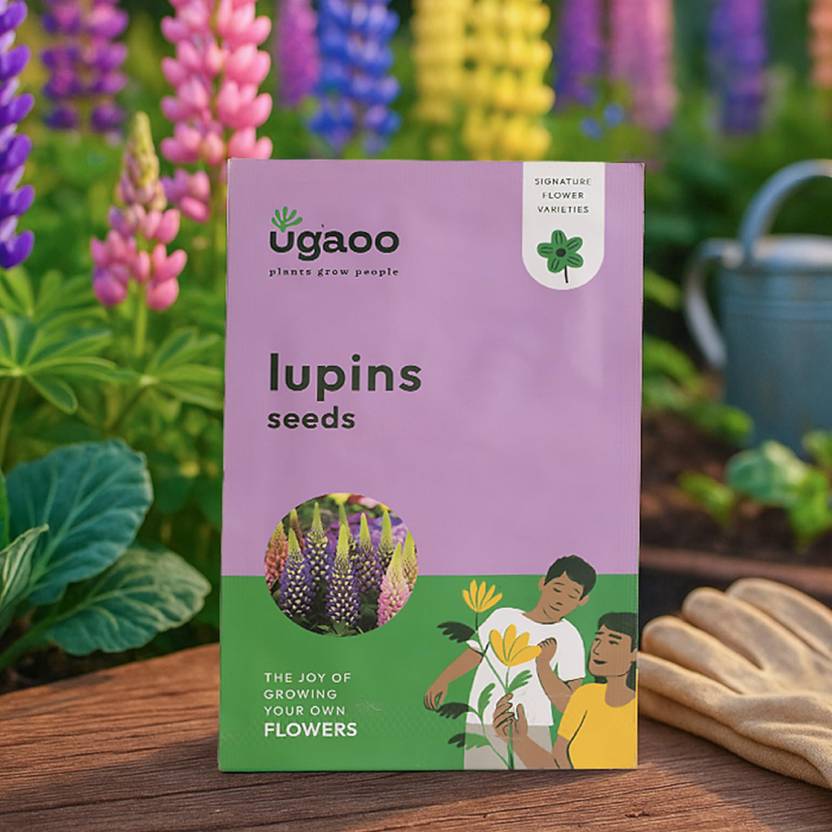 UGAOO Lupins Flower Seed