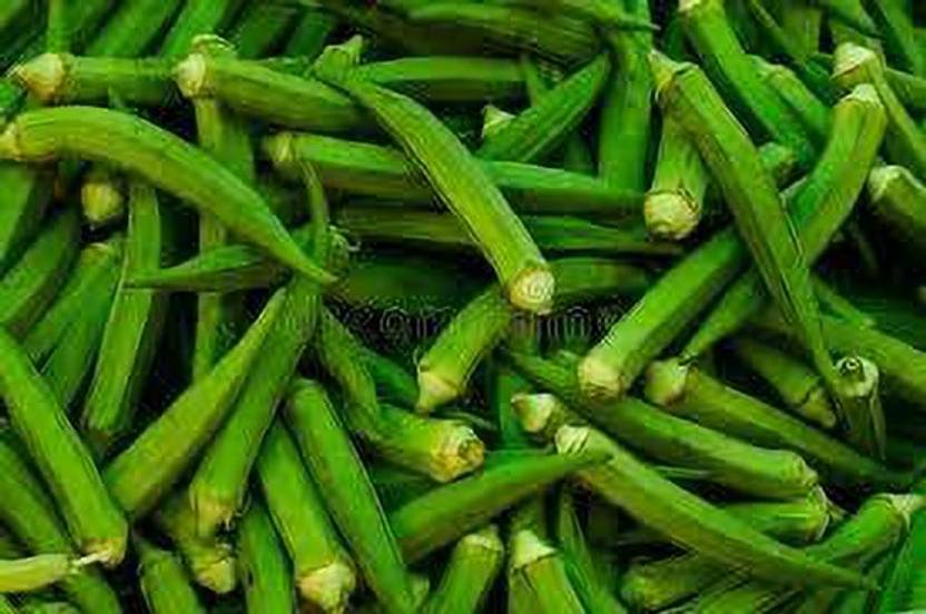 greenfarm Okra Seeds Bhindi , ladyfinger seeds Organic (700 seeds