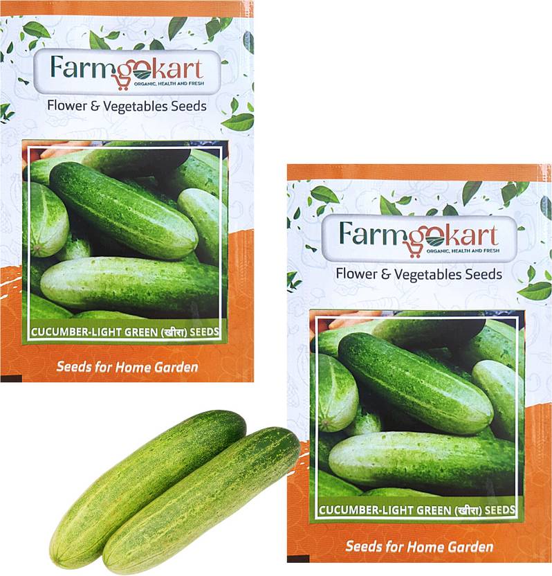 farmgokart 2 Packets of CUCUMBER LIGHT GREEN LONG SEEDS Terrace And