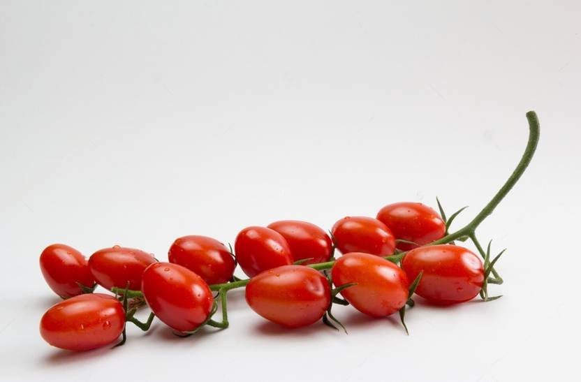 DHENU PRASAD 733 F1 Hybrid Oval Long Tomato Seed Price in India Buy