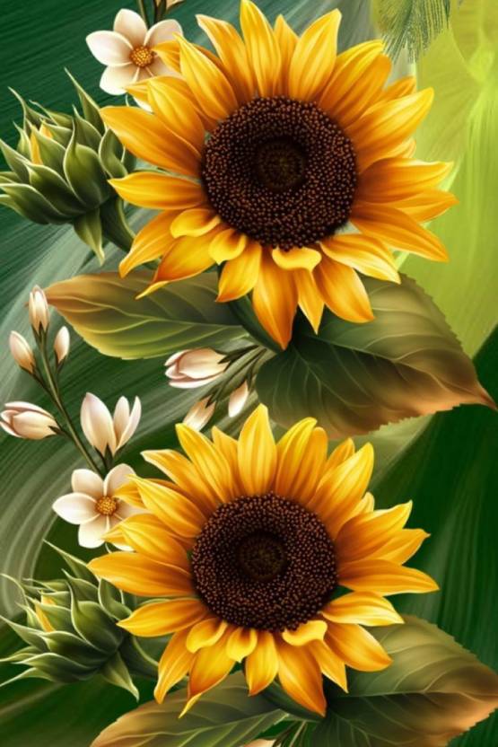 SunFlower Photo Paper Print Poster Photographic Paper Photographic Paper (12 inch X 18 inch, Rolled) Paper Print