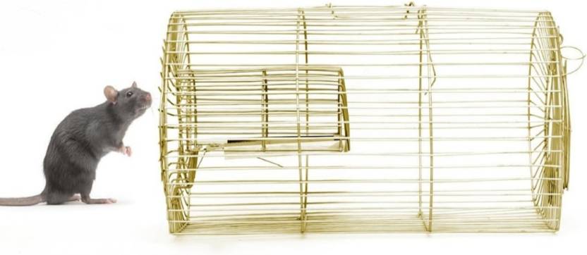 zinkoo FAMILY 4 TAAR RAT CAGE Live Trap