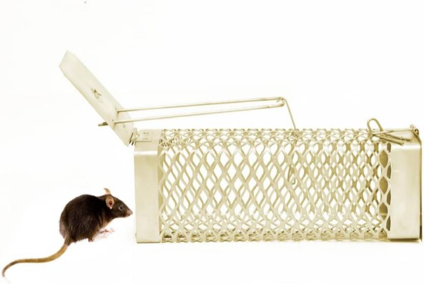 zinkoo SMALL BARFI RAT CAGE Live Trap