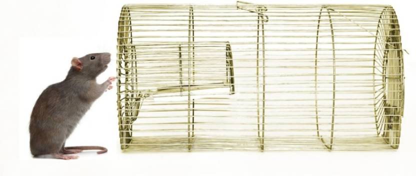 zinkoo FAMILY 5 TAAR RAT CAGE Live Trap