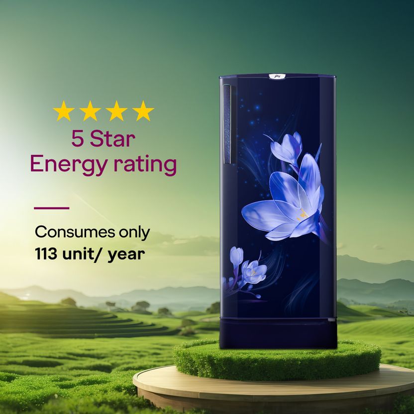 Godrej 185L Direct Cool Single Door 5 Star Refrigerator - Image 2