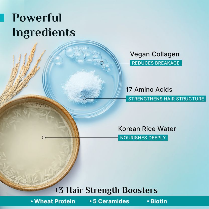 Pilgrim Korean Rice Water Shampoo - Image 6