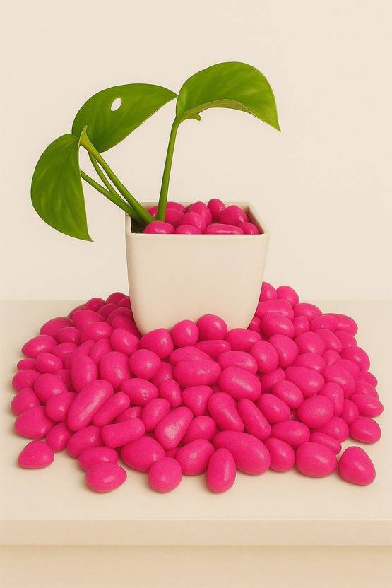 VEERAAY ST-101 Multicolor Stones for Home, Outdoor Decoration, Art & Craft, Garden, Lawn Painted Oval Marble Pebbles