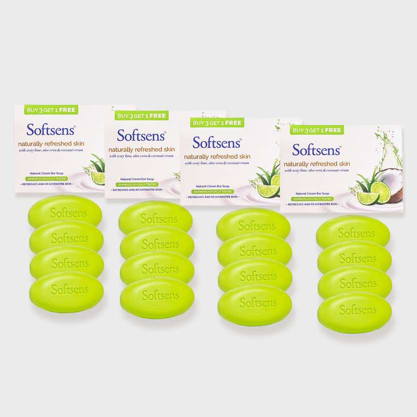 Softsens a