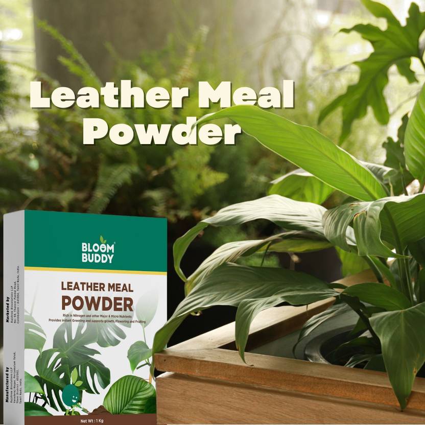 Bloom Buddy Bone Meal Powder for Plants 1kg Organic Nutrition for Indoor Outdoor Plants Biofertilizer