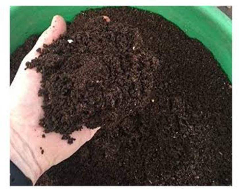 GrowTree Made from Cow Manure 100 Organic Natural Plant Nutrient For Soil, Manure