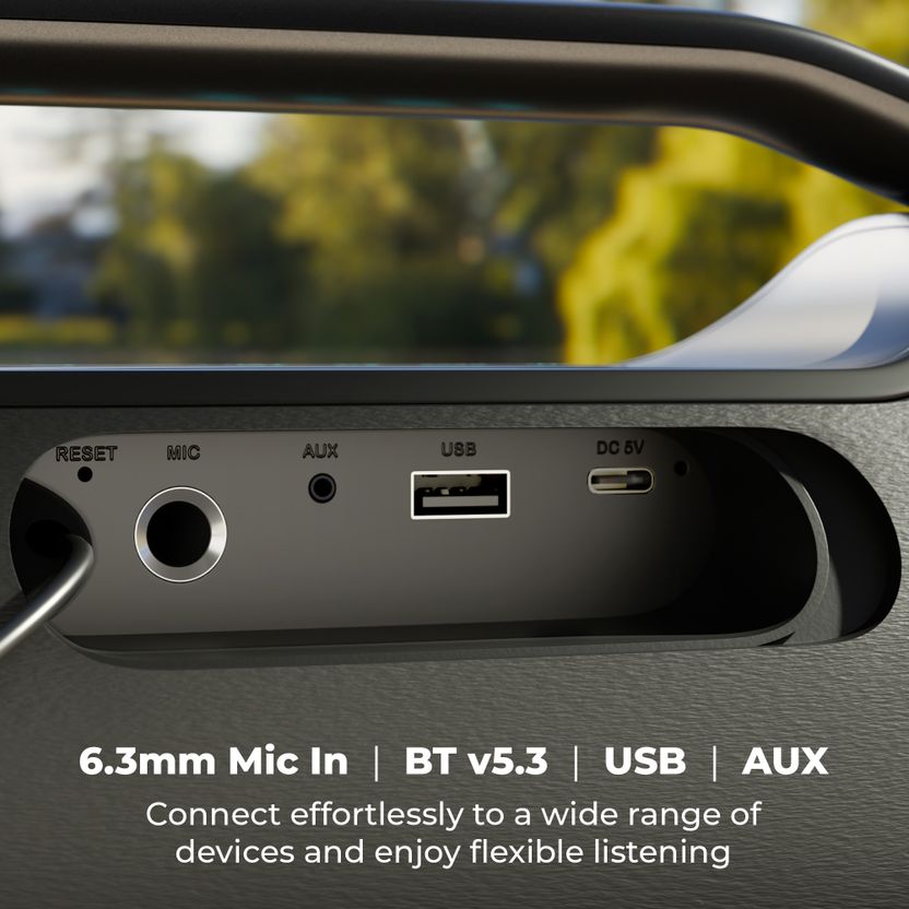 ZEBRONICS Sound Feast 550 Dual Driver Subwoofer - Image 6