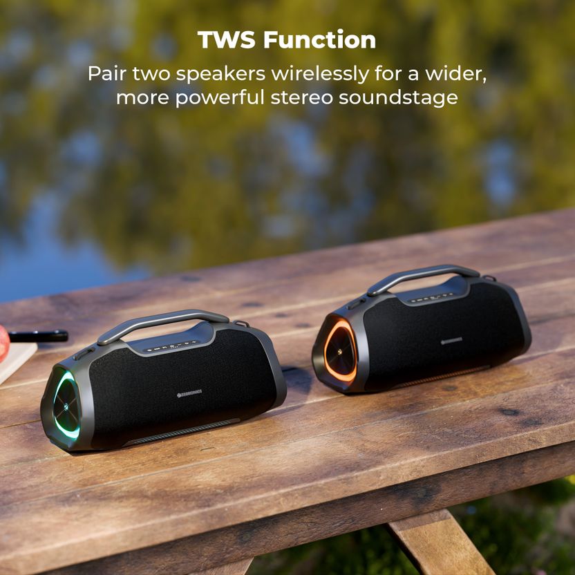 ZEBRONICS Sound Feast 550 Dual Driver Subwoofer - Image 8