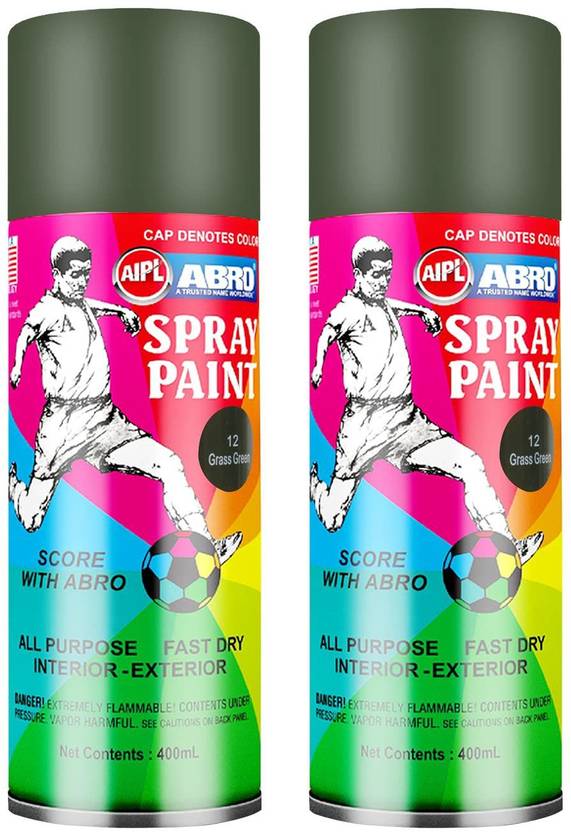 ABRO SP12 Multipurpose Colour Spray Paint Can for Cars and Bikes Grass