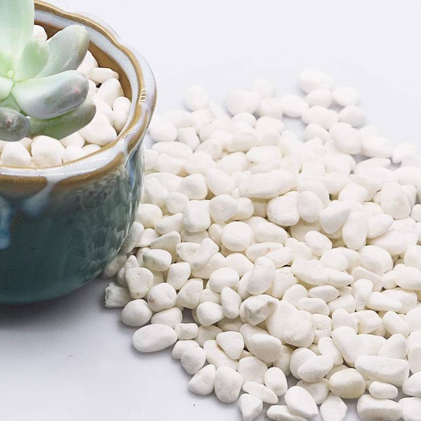 AFAST Premium White Pebbles – 1 KG for Pots, Vases & Landscaping Regular Asymmetrical Marble Stone