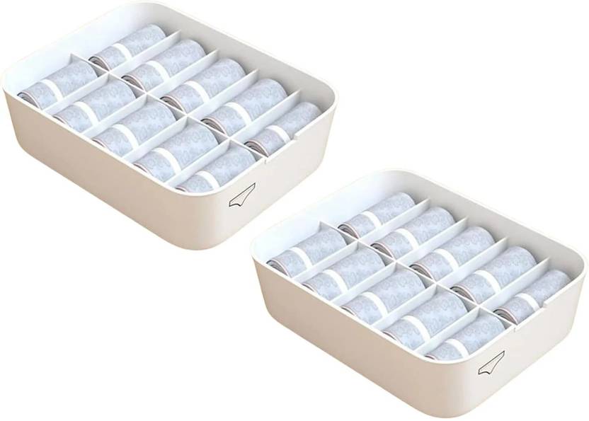 AquaDance Storage Box with Lid(Pack of 2) Storage Box