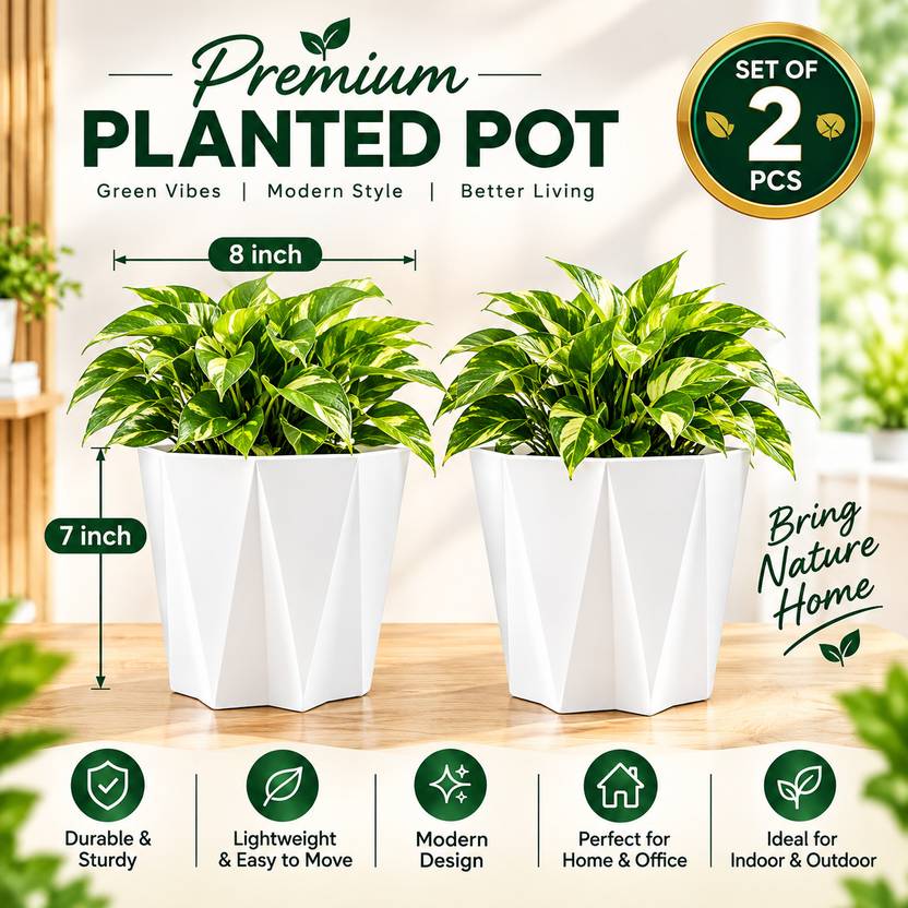 BGE Diana White 8 inch pack of 2 pots for Plant Container Set