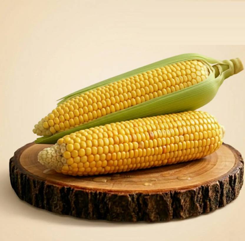 Sweet Corn