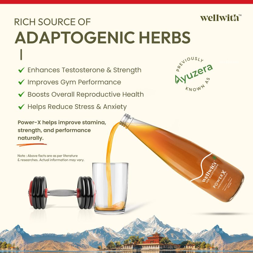 Wellwith Seabuckthorn PowerX Juice 300ml - Image 6