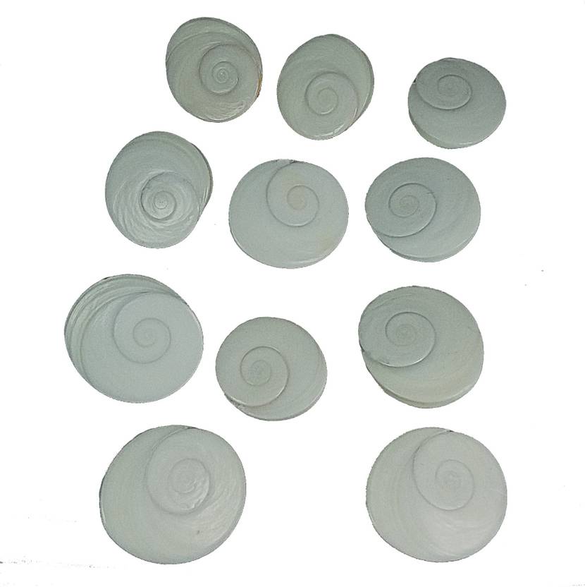 CHAKRADHARI Original Gomati Chakra set of 11 Pieces Energized Mantra Siddha Rare Quality Stoneware Yantra
