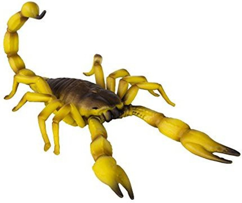 Safari ltd insects outlet