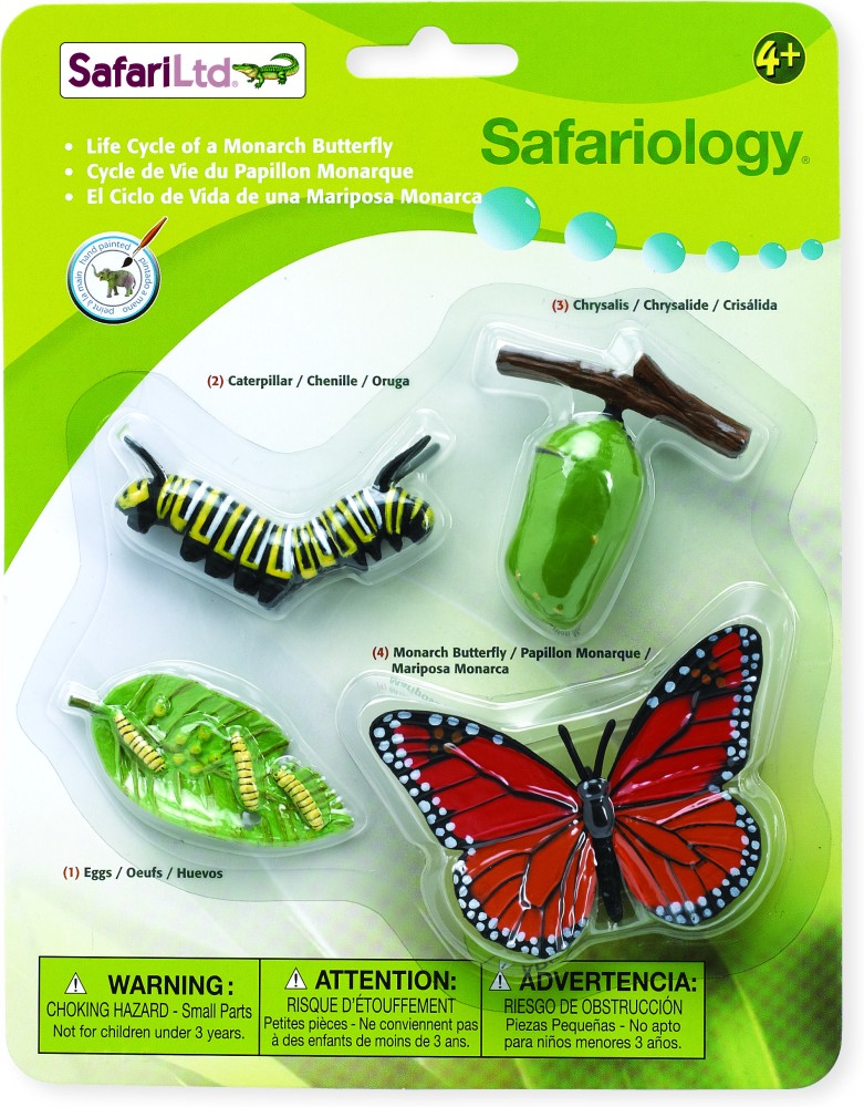 Butterfly Life Cycle Figurines: Toys For Curious Kids - Nature Gift Store