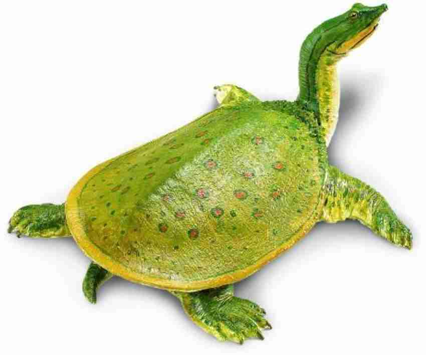 Safari discount incredible creatures
