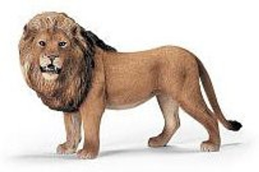 Schleich Lion 14373 Lion 14373 Buy Lions toys in India. shop for Schleich products in India. Flipkart