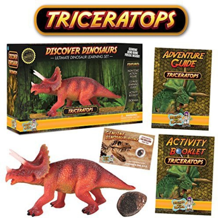 Discover with Dr. Cool Triceratops Action Figure - Includes Real