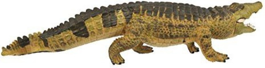 Crocodile India - Human Resources - SP Apparels Ltd., (RetailDivision)- Crocodile