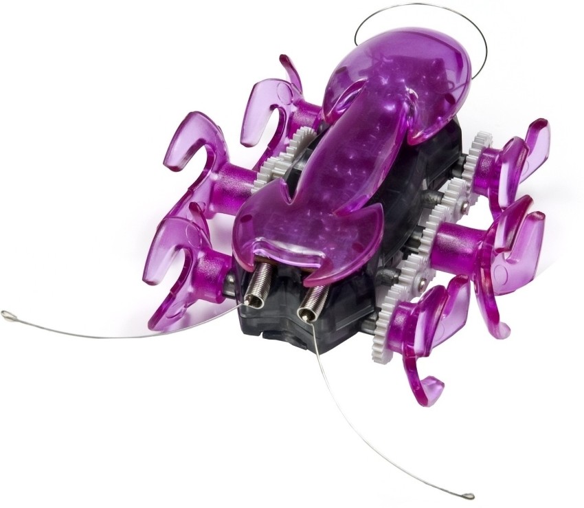 Hexbug ant on sale