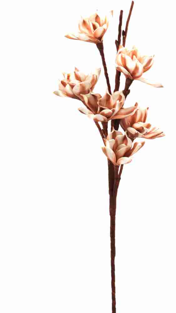 JB Collection White, Brown Assorted Artificial Flower Price in
