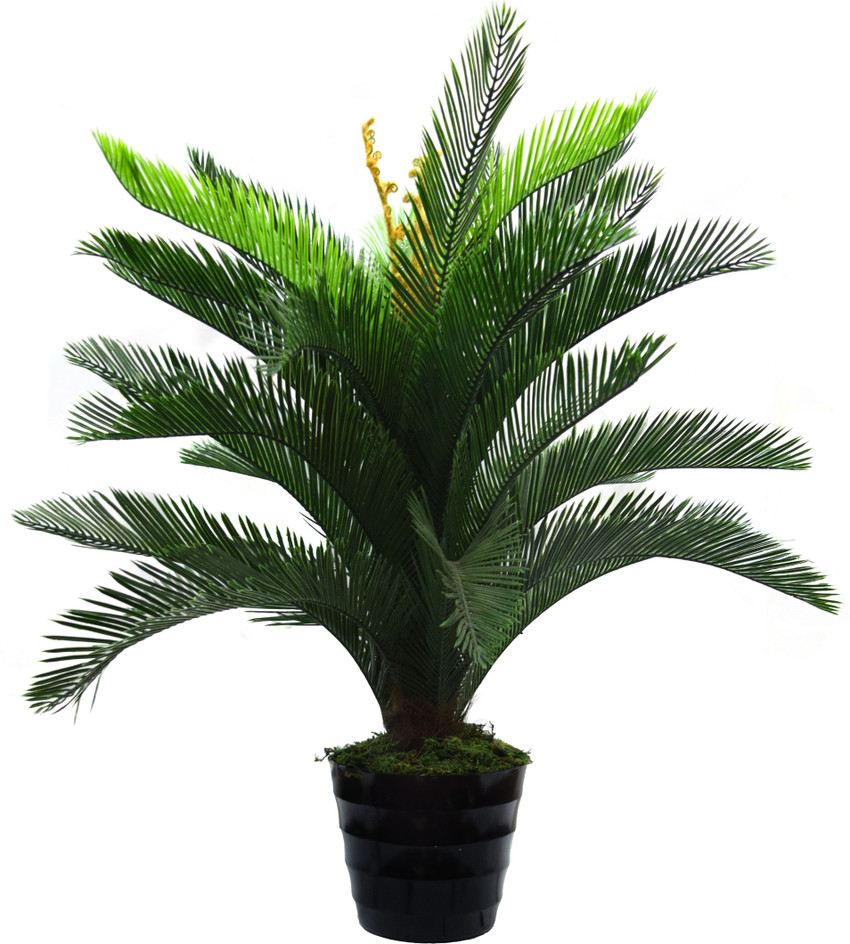 Artificial Decorative Plants And Trees Shelly Lighting