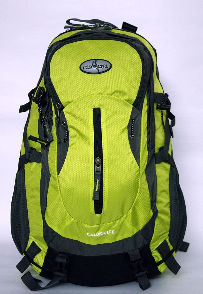 Colorlife 817 Fluoroscent Green Laptop Backpack Fluoroscent Green Price in India Flipkart