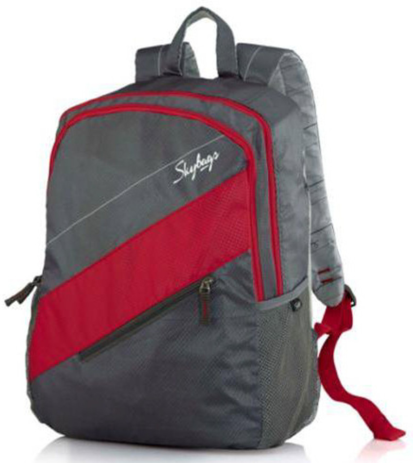 SKYBAGS Neon 03 29 L Medium Backpack Grey - Price in India | Flipkart.com