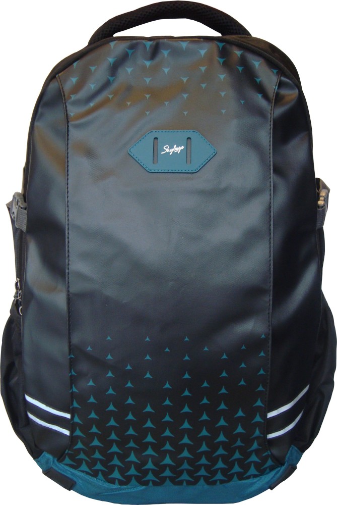 SKYBAGS LUNAR 02 BLACK 28 L Laptop Backpack Black Price in India Flipkart