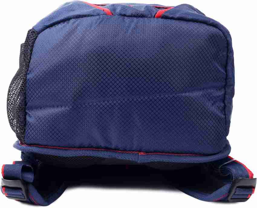 Puma bmw backpack purple sale