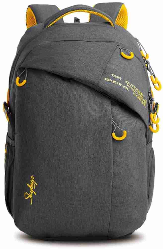 SKYBAGS ION 02 Grey 36 L Backpack Grey Price in India Flipkart