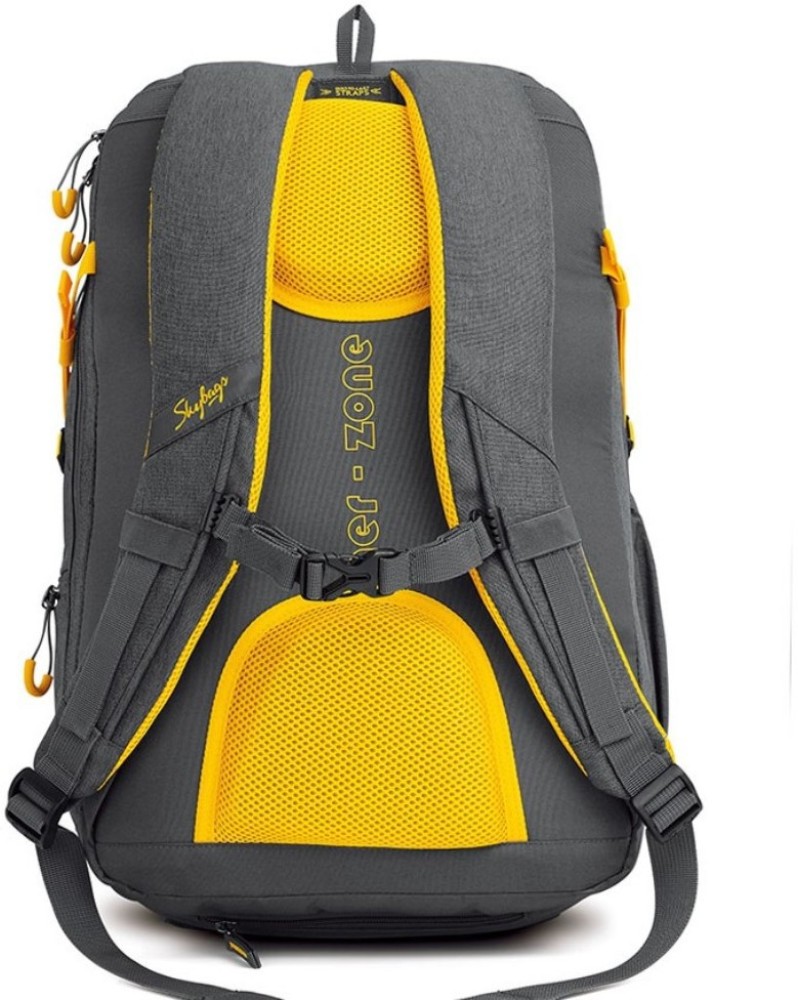 SKYBAGS ION 02 Grey 36 L Backpack Grey Price in India Flipkart