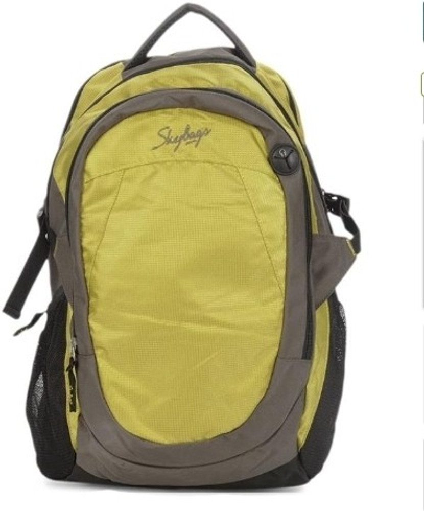 Skybags laptop top bags flipkart