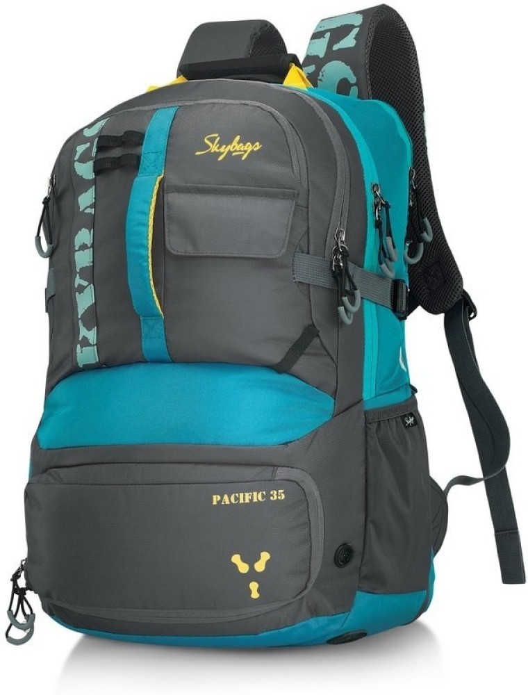 Skybags hot sale online flipkart