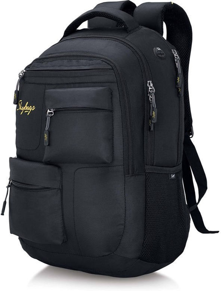 SKYBAGS Crew 01 2.5 L Laptop Backpack Black Price in India