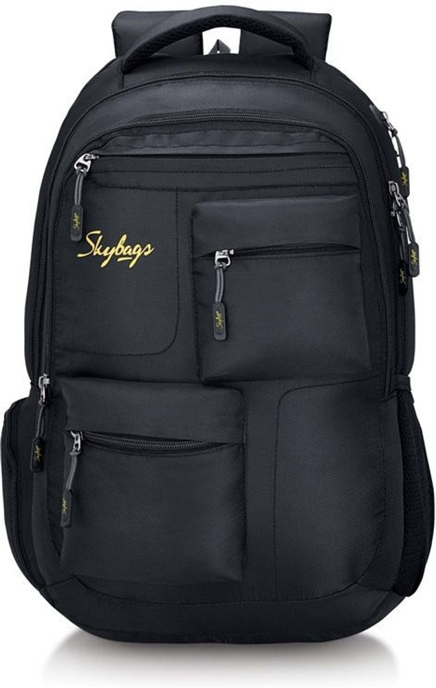 SKYBAGS Crew 01 2.5 L Laptop Backpack Black Price in India Flipkart