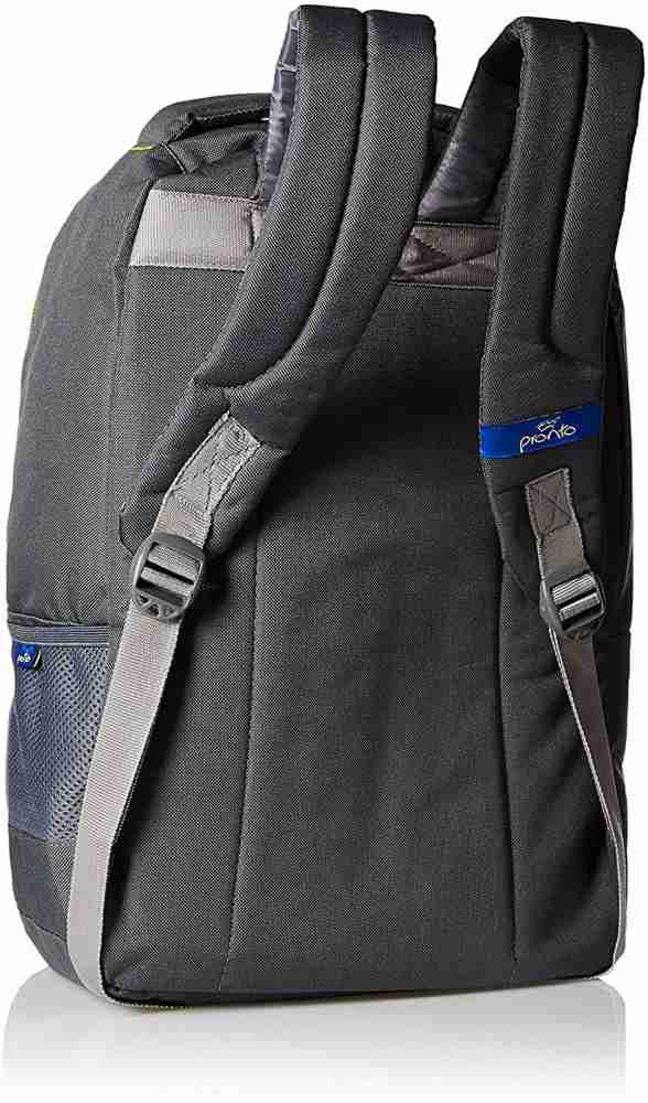 pronto SPIRIT 25 L Backpack Grey Price in India Flipkart