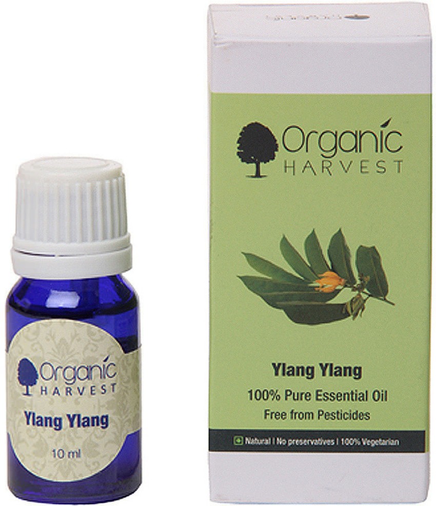 Buy Organic Rosemary Essential Oil for Hair & Skin Online in India (10ml) -  Organic Harvest