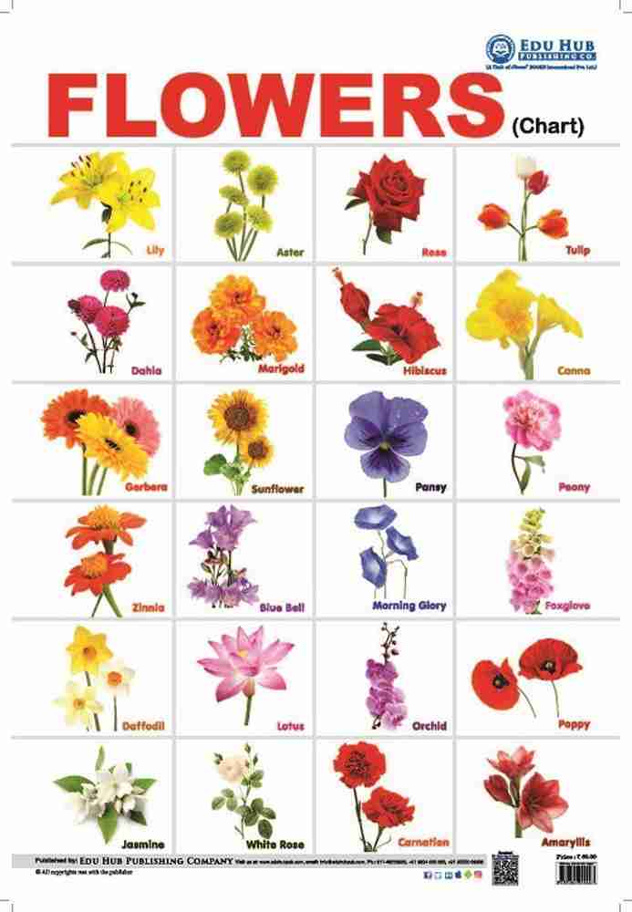 Different Types Of Flowers With Names Chart