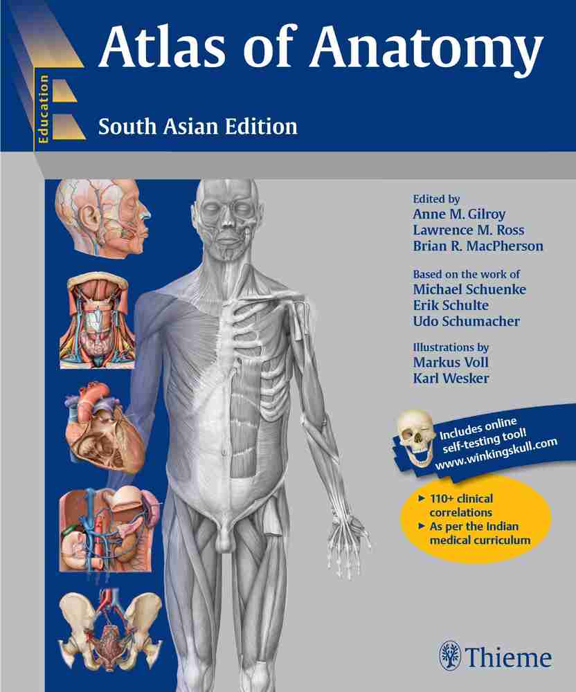 Atlas of Anatomy: 9781684202034: Medicine & Health Science