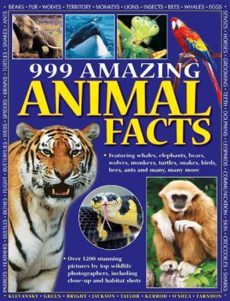 Amazing Wild Facts: Bengal Tiger : Aakash & Adithya's Amazing Wild Facts  For Toddlers (Paperback) 