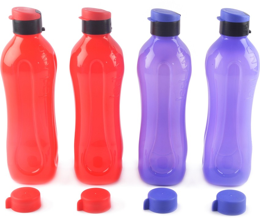 Plastic Ski Small Water Bottle Iceland, Capacity: 600mL